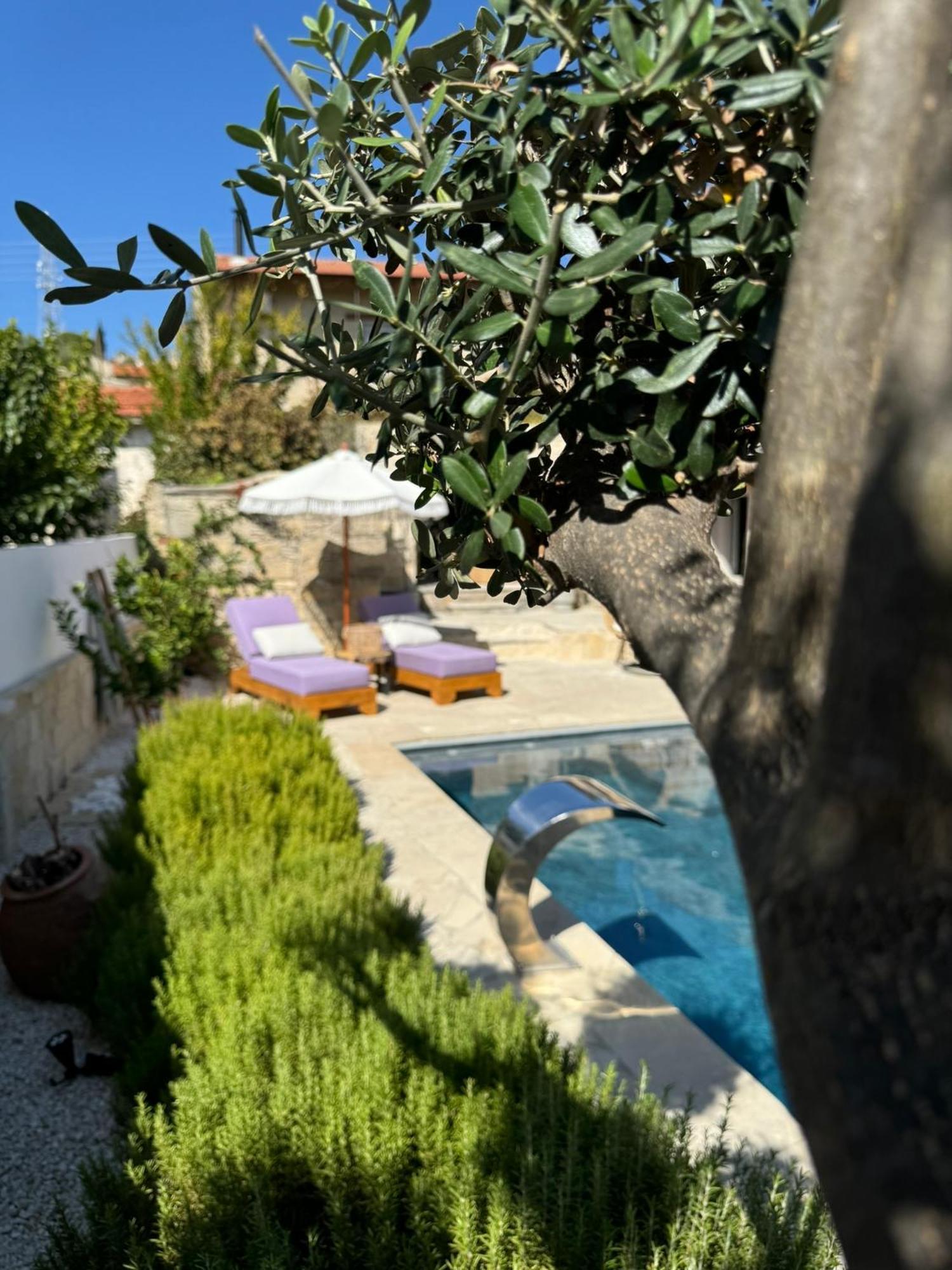 Fig&Olive Luxury One Bedroom Boutique In Pachna Limasol Buitenkant foto