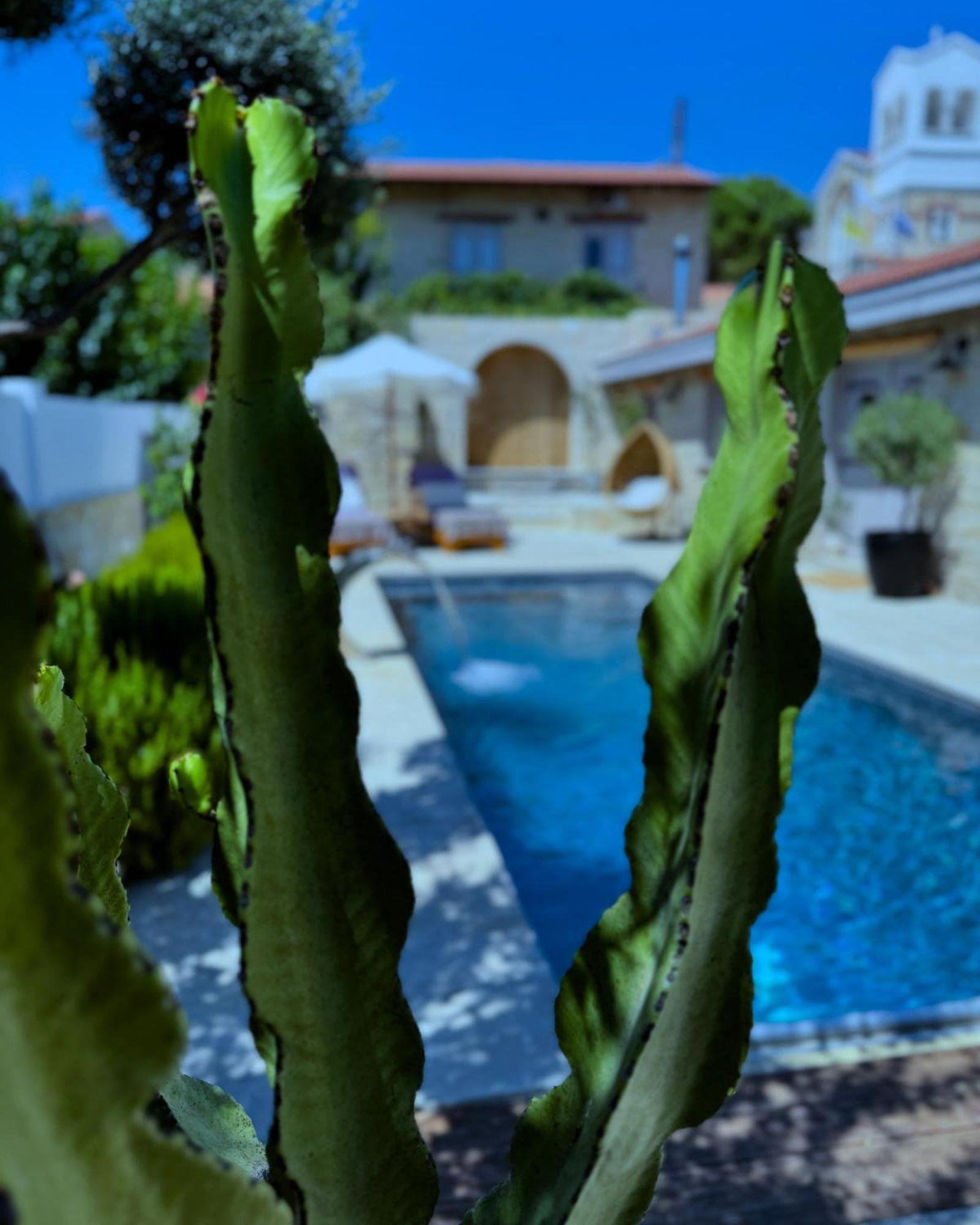 Fig&Olive Luxury One Bedroom Boutique In Pachna Limasol Buitenkant foto